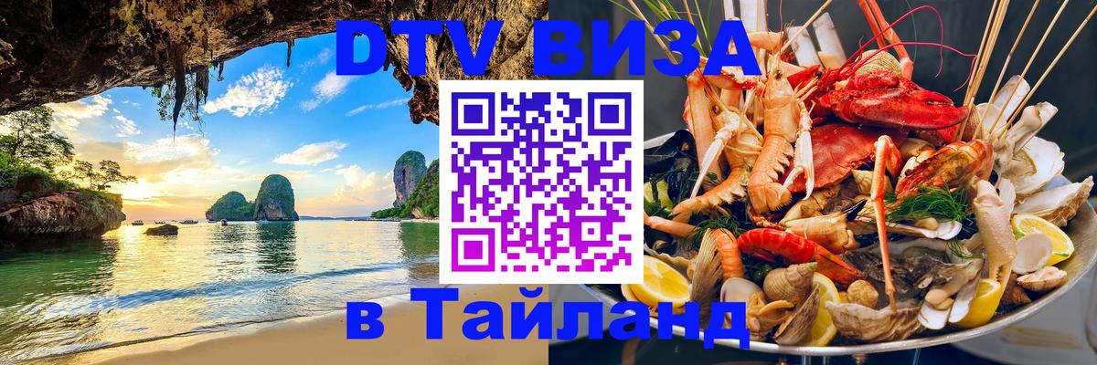 Оформление DTV визы под ключ: стоимость и тарифы, только загранпаспорт - 20.11.2025 